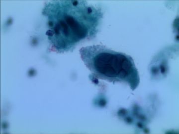 感谢清香情浓老师总是给我们分享这么好的图片，这么好的宝贵经验，有你真好！