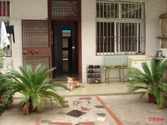 小院2