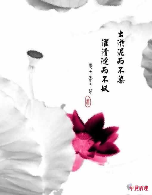 送给小荷