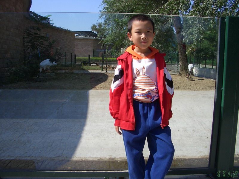 儿子长大啦