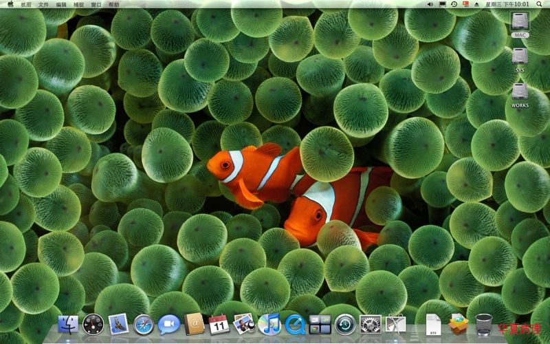 PC上安装MAC OSX 10.5.6 成功！